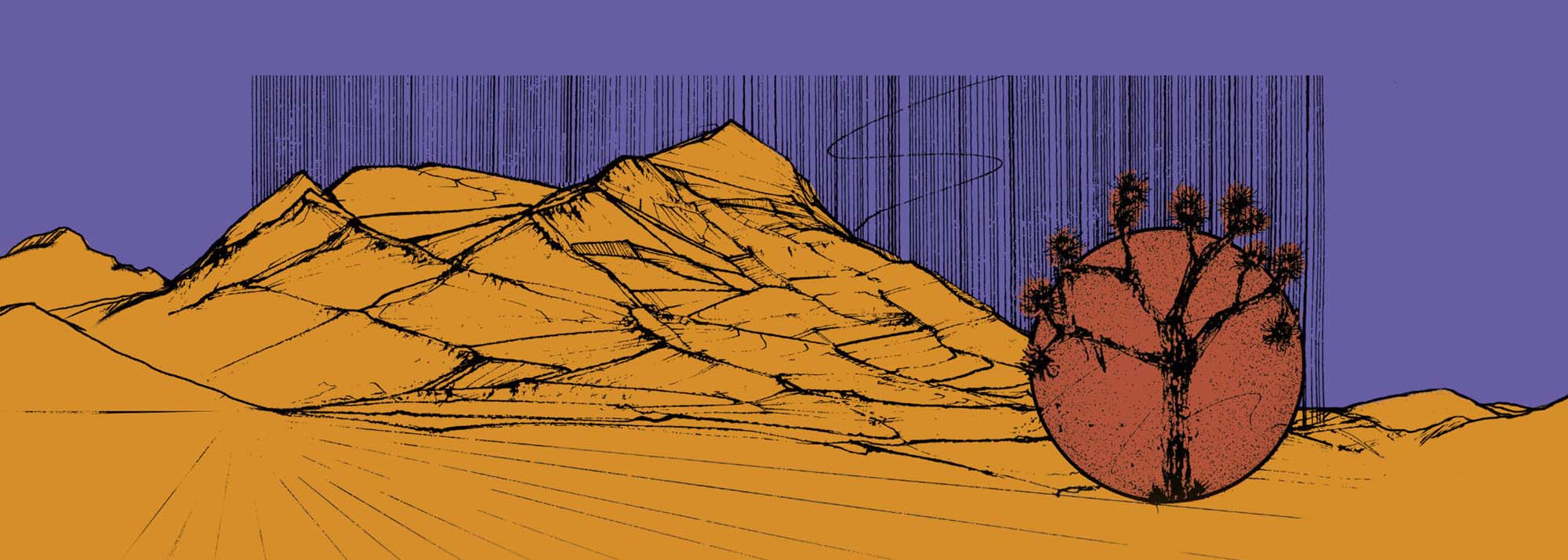 What Is Joshua Tree Music Festival? 10 Festival scene connected to Joshua Tree Music Festival.