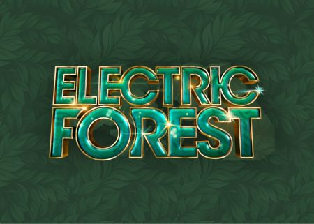 Festival scene connected to Electric Forest.