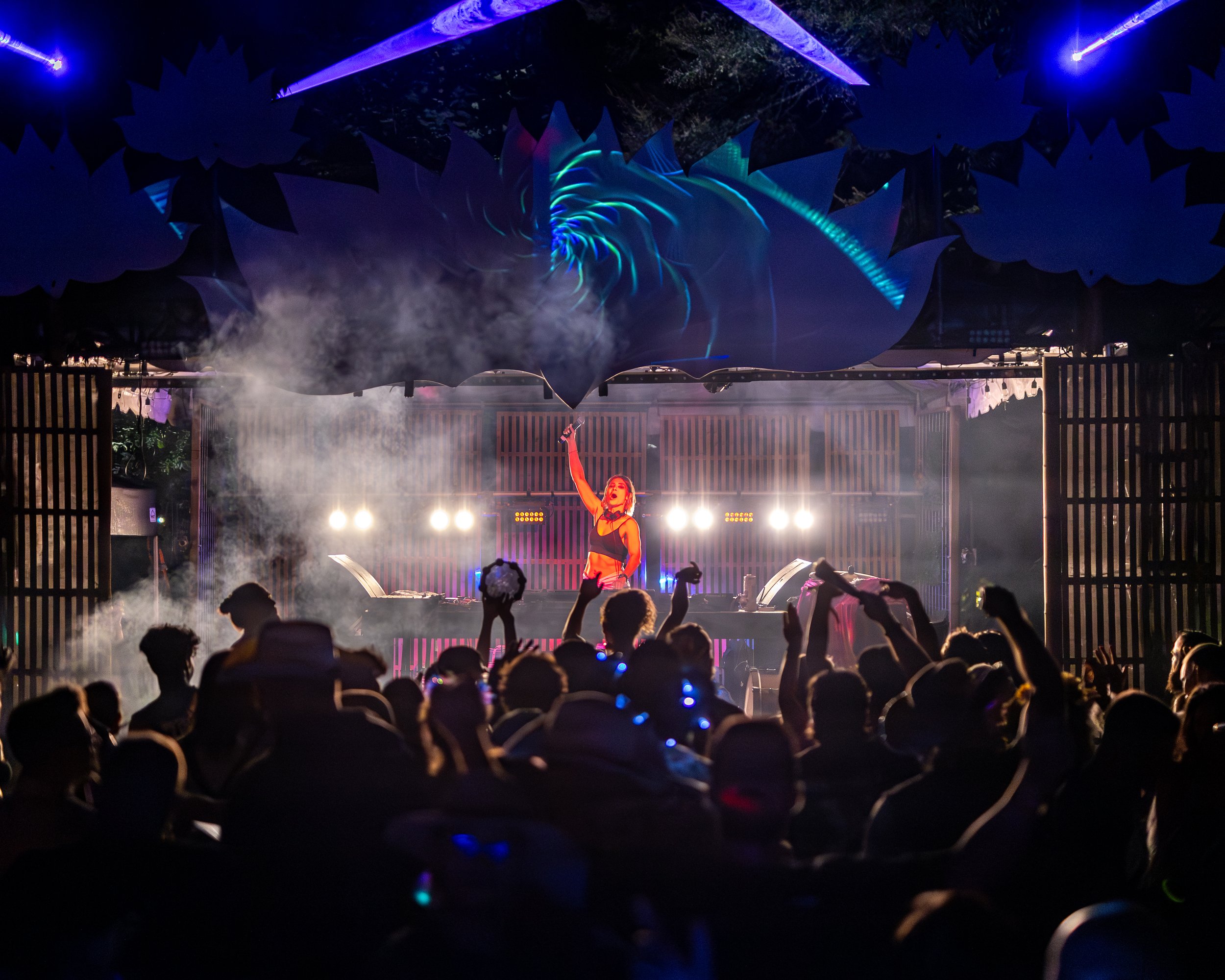 What Is Sonic Springs 2026? 10 A DJ performs beneath blue-lit stage art as a crowd dances at Sonic Springs Festival.