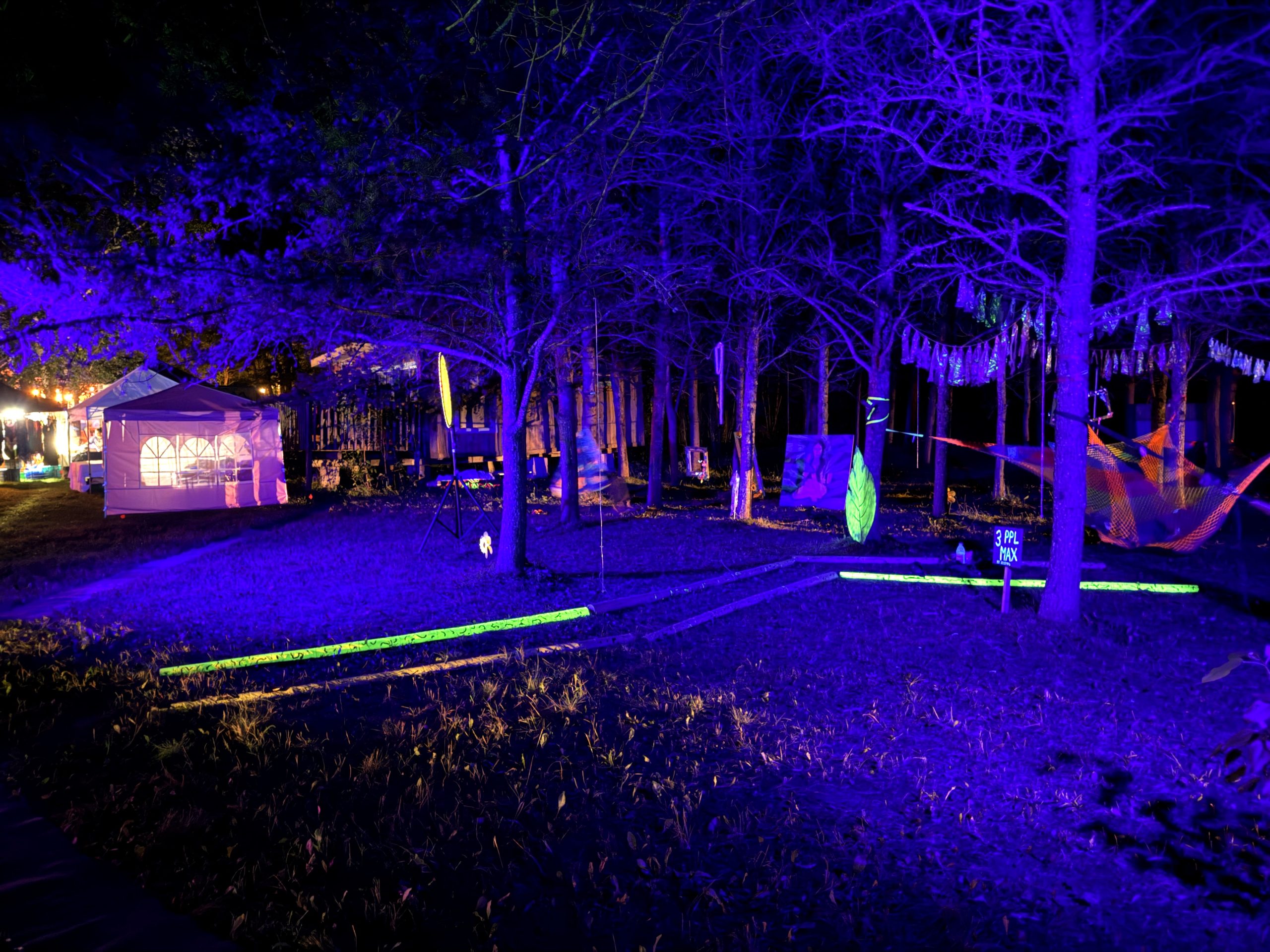 A World Worth Making 16 Blue and purple lights transform the festival forest after dark
