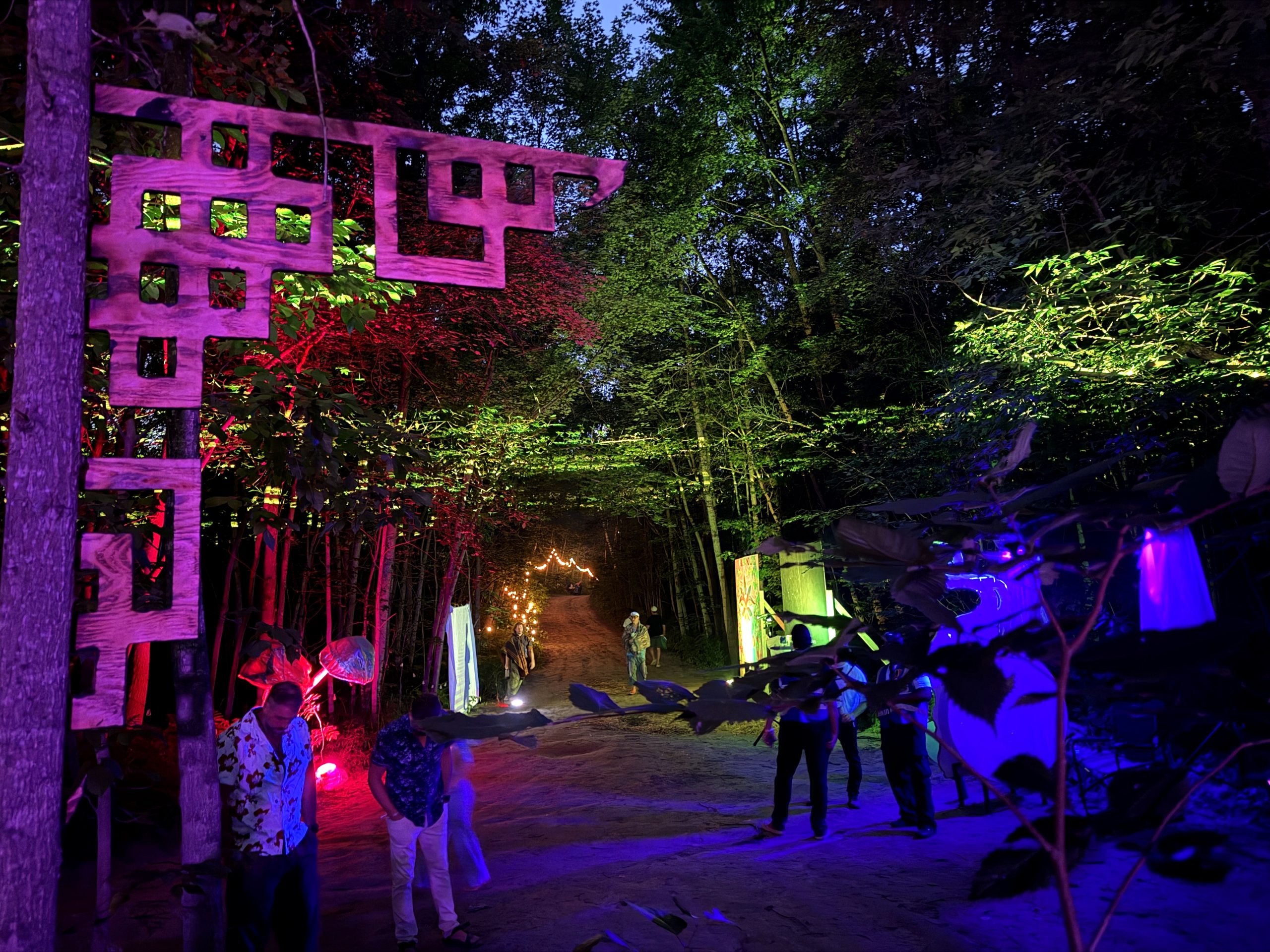 A World Worth Making 9 A sculptural entrance beneath coloured forest lights